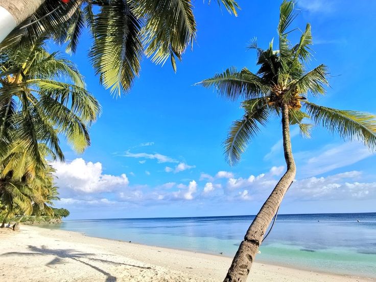 #alona #beach #panglao #bohol #philippines #sea…